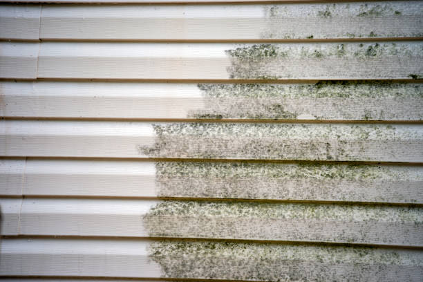 Best Yard Waste Removal  in Haviland, NY